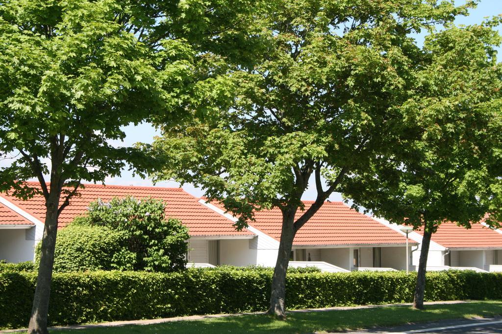 Villa Aero Marina à Ærøskøbing Extérieur photo
